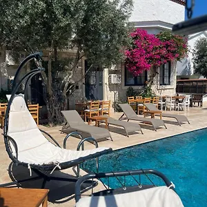 alacati-albatross-hotel-cesme.aegeanhotels.net/